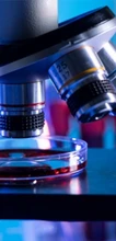 Optical Application in Medicine